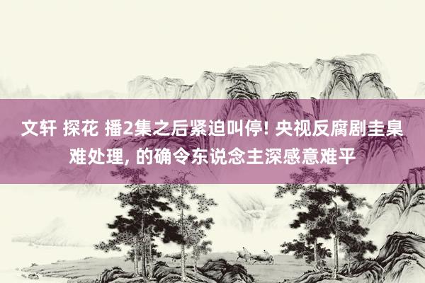 文轩 探花 播2集之后紧迫叫停! 央视反腐剧圭臬难处理， 的确令东说念主深感意难平