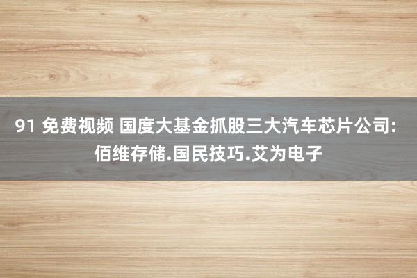 91 免费视频 国度大基金抓股三大汽车芯片公司: 佰维存储.国民技巧.艾为电子