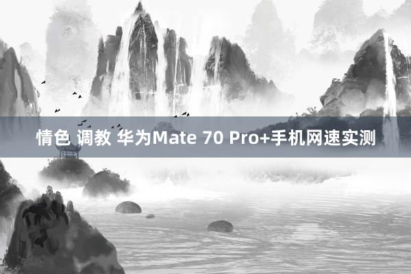 情色 调教 华为Mate 70 Pro+手机网速实测